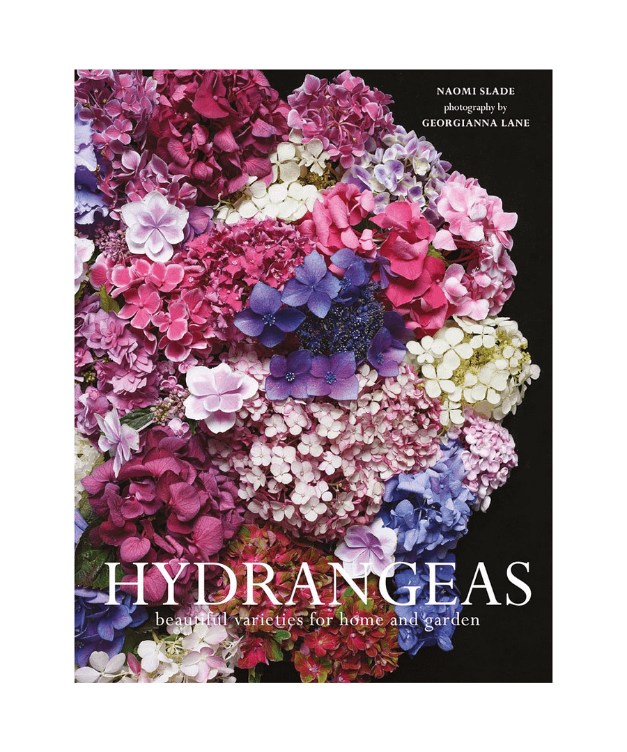 Hydrangeas: Beautiful Varieties For Home And Garden