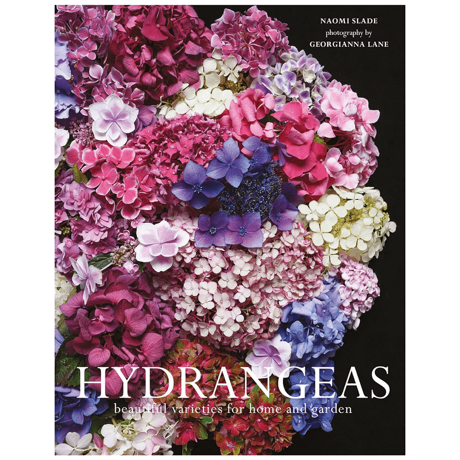 Hydrangeas: Beautiful Varieties For Home And Garden